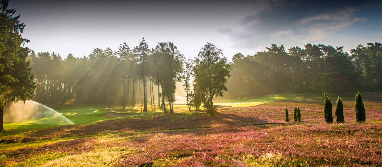 Hamburger Golf-Club Falkenstein