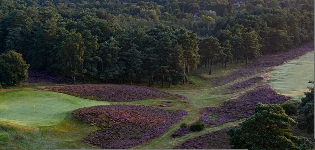 West Sussex Golf